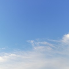 Sky Hunter