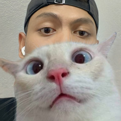 æli
