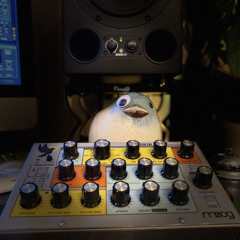 OpiatMusik