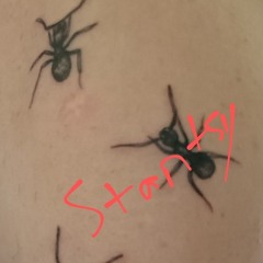 Stantsy