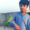 ZIDI BOY