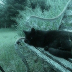 bo may muon di nha sach