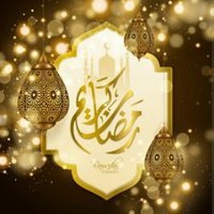 زهرة الجنوب