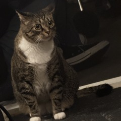Bob