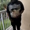 itsluhvontae