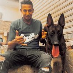 Mohamed Hafez