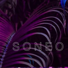 SONEO