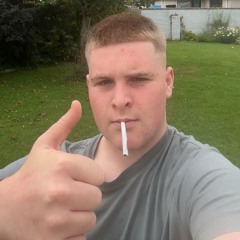 dingles