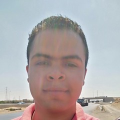 youssef Mohamed