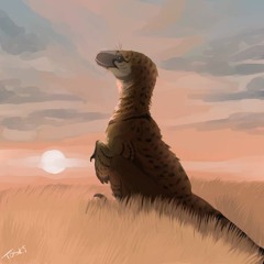 Allorama