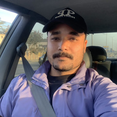 mostafa kamel