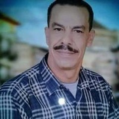 سعيد الباشا
