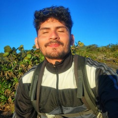 Mauricio