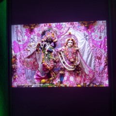 shruti.krishna9591@gmail.com