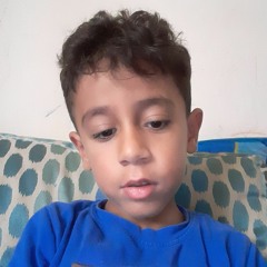 Amr Mahmoud Elfeky