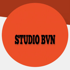 👾 Studio Bvn 👾