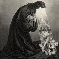 TheThiefofLight