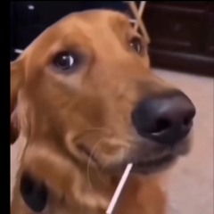 Wish You Well - Sigala, Becky Hill (ABLE Remix)