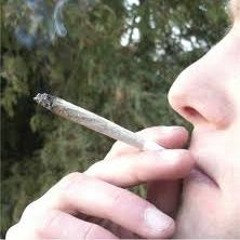 _Flo_NL_