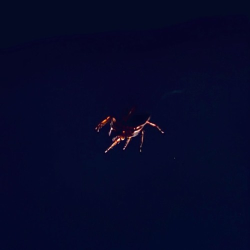 CORSAK - GLOW feat. Robinson (Demander Remix)