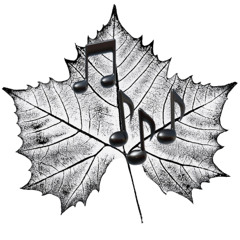 SycamoreBeat