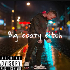 Big Booty Bitch