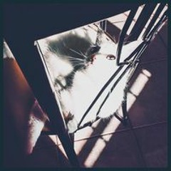 Ezgi Ertan Yıldırım