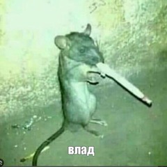 гы
