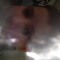 DeiviD