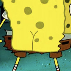 Spongedick UNKNOWN
