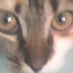 nuw