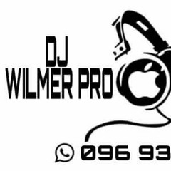 Dj  Wilmer