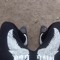 5x🦇NGZ