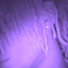 lildombaby