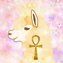 alpacca miho