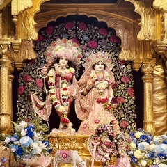Avni Ladwa