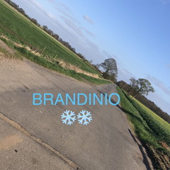 Brandinio❄️❄️