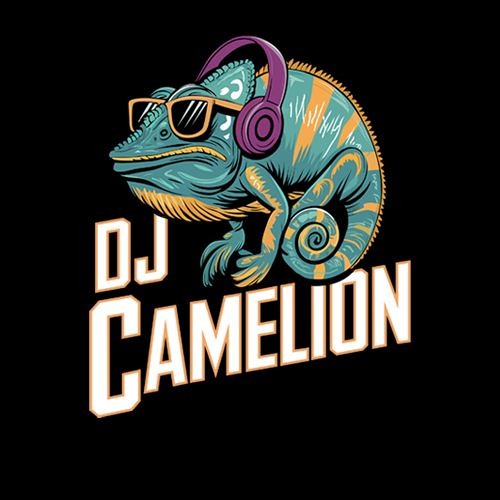 Dj Camelion — artist photo