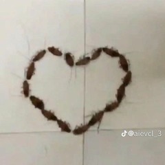 chạy ngay đi | run now | speed up | sơn tùng mtp  onionn remix