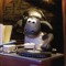 DJ Scheunendrescher