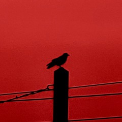 D4N13L