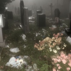 im not good with names