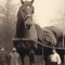 anatole