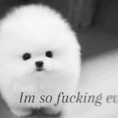 iwllnvrcry