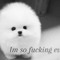 iwllnvrcry