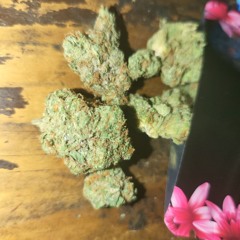 Casper420710