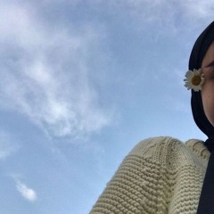 Alaa Elkasas