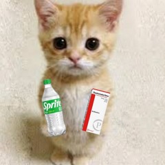 Cuadrita