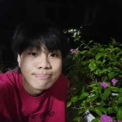 hà duy
