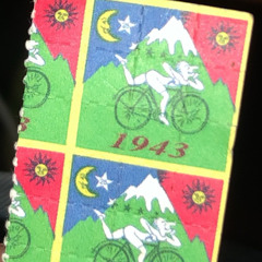 yarden israel🚵‍♀️